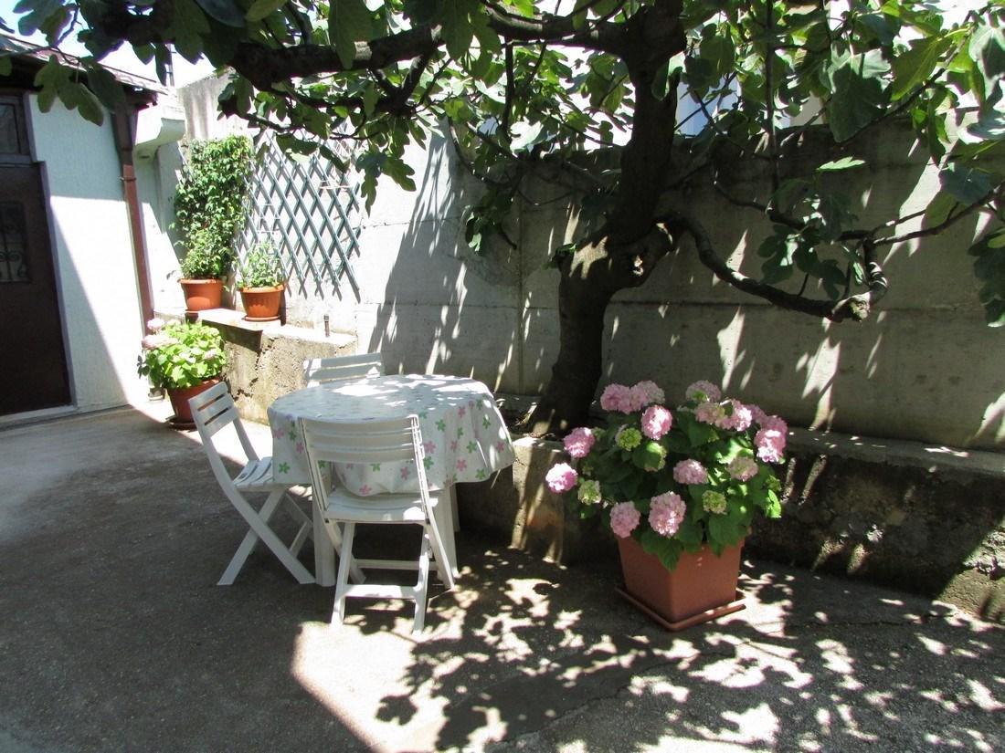 Paliska House With 3* Umag